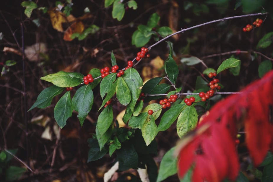 Processed with VSCO with 4 preset